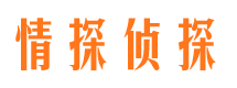 若羌市侦探